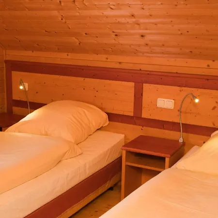 Prázdninový dům Auerhahn-11 By Interhome *
